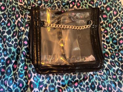 Clear PVC Mini Tote Bag with Gold Chain Handle